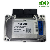 ایسیو کسنس (KESENS) تارا اتوماتیک